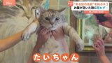 “あるお店の名前”を叫ぶネコ「ニャー」ではない鳴き声とは? お腹が空いたときに思わず出ちゃう「3文字」をお聞きください|TBS NEWS DIG