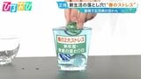 “ストレスの正体”は「デイリーハッスルズ」!?総合診療医が教える科学的なストレス解消法【ひるおび】|TBS NEWS DIG