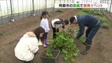 「サラダにして食べたい」 阿蘇の農園で野菜収穫の食育イベント 熊本|TBS NEWS DIG
