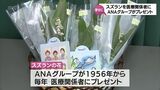 「しあわせ」の花言葉・スズラン ANAから宮崎市の医療関係者に4年ぶりにプレゼント | MRTニュース | MRT宮崎放送