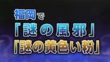 「謎の風邪」「謎の黄色い粉」 福岡で話題の2つのワードに関連はあるのか? 専門医「マツ花粉の可能性も」|TBS NEWS DIG