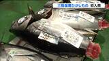 寿司に刺身に!鮮度・脂乗り・色つや抜群ブランドマグロ「ひがしもの」初入荷 仙台|TBS NEWS DIG