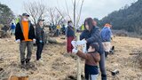 県民の森でボランティアが病気に強いサクラ品種「ジンダイアケボノ」を植樹 大分 | 大分のニュース|OBS NEWS|大分放送