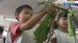 七夕に合わせ、園児たちが郵便局で願い事を書いた短冊を笹に飾りつけ 盛岡市|TBS NEWS DIG