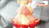 宮城県産「イチゴ」海外輸出加速化に向けタイのバイヤーが初来県「もういっこ・にこにこベリー」など6品種試食|TBS NEWS DIG