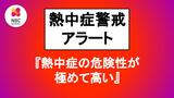長崎県は「熱中症の危険性が極めて高い気象状況」に【8日 熱中症警戒アラート】 | 長崎のニュース | 天気 | NBC長崎放送