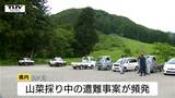 わらび採り中に遭難の男性はいまだ発見されず けさも早くから捜索 行方不明から2日 県内では山菜採り中のクマ被害が3件発生で心配も(山形・鶴岡市) | 山形のニュース│TUYテレビユー山形