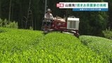 地域のお茶農家が8割減少 200戸が15年で37戸に…4代目が挑む"歴史あるお茶文化を未来へ" 熊本・山鹿市 | 熊本のニュース|RKK NEWS|RKK熊本放送