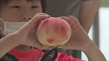 特産のモモの重さ比べ大会など大勢の観光客で賑わう 桃フェスタinフルーツ公園2022|TBS NEWS DIG