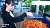 「絶対にご飯を食べる!」気迫さえ感じる約500匹の金魚の餌やり体験 高知・桂浜水族館|TBS NEWS DIG