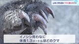 山林に男性（89）の遺体　頭や手に外傷　クマに襲われたか　近くのイノシシ用わなに体長1.3メートルほどのクマ　宮城・大和町|TBS NEWS DIG