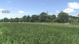 『完全復興に向け大事な事業』益城熊本空港IC近く 産業団地の予約分譲開始へ | 熊本のニュース|RKK NEWS|RKK熊本放送
