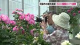 西日本最大級！温室ドームで世界各地のバラ満開　600種類の色・香り鮮やかに　熊本・阿蘇市　|　熊本のニュース｜RKK NEWS｜RKK熊本放送