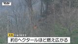 【現場動画】「山の中で大量の煙が見える」上山市の山中で火災　8ヘクタールほどにまで燃え広がる（山形）|TBS NEWS DIG