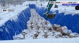 岩手県内で今シーズン3例目となる高病原性鳥インフルエンザが確認された養鶏場の防疫措置70%終了 盛岡市|TBS NEWS DIG