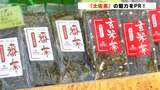 「天気に恵まれ今年は特に香り高い!」土佐茶のおいしさをPRしようとイベント開催【高知】|TBS NEWS DIG