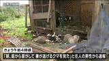 「朝とか出没の多い時間は歩けない」鶏小屋壊されニワトリ死ぬ 住宅敷地内でクマ目撃後に 宮城・加美町|TBS NEWS DIG