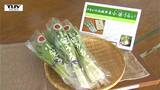 「食感もいいしおいしかった!」伝統野菜 "小笹うるい" が給食に登場 児童が元気に食べる様子に生産者も笑顔! (山形・上山市) | 山形のニュース│TUYテレビユー山形