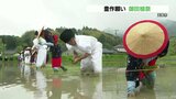 五穀豊穣願い 田男 早乙女が植え付け 天草市で御田植祭 | 熊本のニュース|RKK NEWS|RKK熊本放送