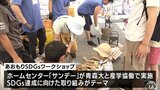 青森県の自然資源でワークショップ　ホームセンターが大学とＳＤＧｓ達成に向け産学協働で実施|TBS NEWS DIG