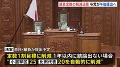 議員定数の削減法案　自民・維新がきょう午後にも提出へ　1割目標に削減 “1年以内に結論でなければ自動削減”条項も| TBS CROSS DIG with Bloomberg