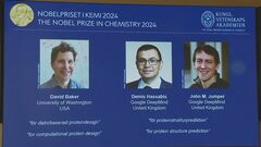 今年のノーベル化学賞にアメリカの教授ら　新たなタンパク質の設計を発見| TBS CROSS DIG with Bloomberg