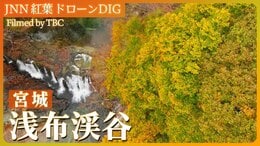 栗原市・浅布渓谷の紅葉【JNN 紅葉ドローンDIG 2024】|TBS NEWS DIG