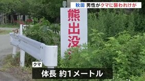 「顎のあたりと手足をかまれ出血」散歩中の男性（20代）クマに襲われけが　命に別状なし　秋田・仙北市|TBS NEWS DIG