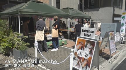 学校で習ったことが活きている」 甲府市出身のモデル・高瀬真奈さんが