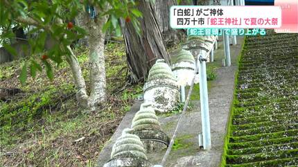 白蛇」がご神体 高知・四万十市「蛇王神社」で夏の大祭 「蛇王音頭」で