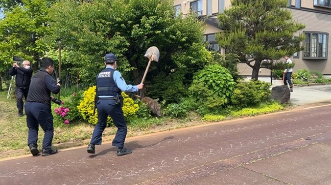 スコップを振り上げる警察官!その先には… 街中でイノシシが爆走、3時間居座り逃亡(山形・河北町)|TBS NEWS DIG