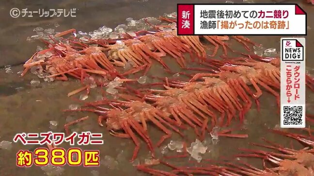 「奇跡…“1つ”だけ揚がった」地震後初めて並んだベニズワイガニ 昼競りは3分で終了|TBS NEWS DIG