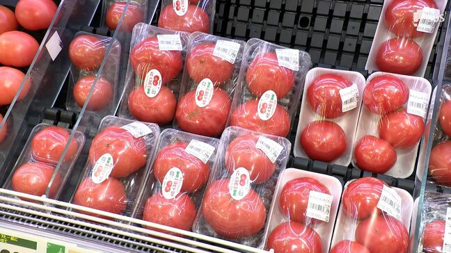 "トマトショック"平年の1.5倍 飲食店「100円切ってほしい」 スーパーでは価格落ち着くも高値続く|TBS NEWS DIG