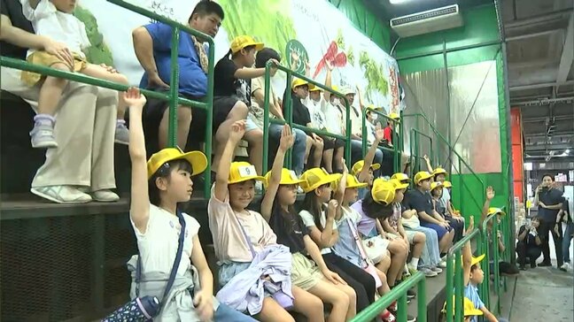 「野菜を買うきっかけになった」中央卸売市場で夏休み親子市場勉強会 競りや冷凍庫を体験【岡山】|TBS NEWS DIG