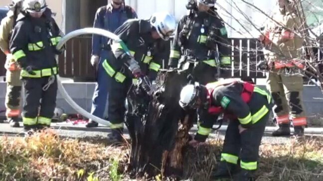 「川沿いの樹木がくすぶっている」 木の一部が焼ける火事 現場周辺に火の元確認されず【愛媛】|TBS NEWS DIG