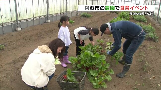 「サラダにして食べたい」　阿蘇の農園で野菜収穫の食育イベント　熊本|TBS NEWS DIG