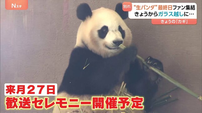 「幸せを祈るばかり」“生パンダ”観覧最終日にファン集結…ガラス越しになっても会いたい存在|TBS NEWS DIG