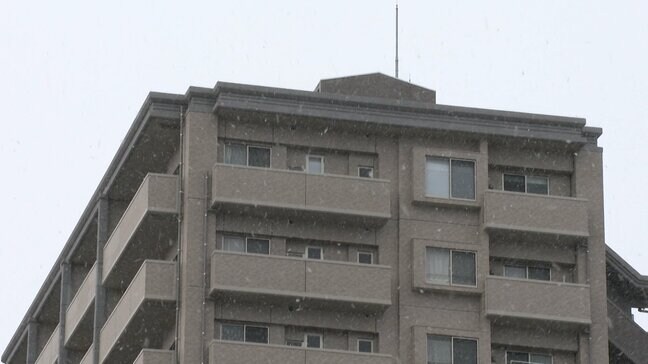 【大雪情報】高知市内でも夕方4時ごろから雪に　高知県内9日明け方にかけて山間部を中心に大雪の見込み　積雪や路面の凍結に注意【高知】|TBS NEWS DIG