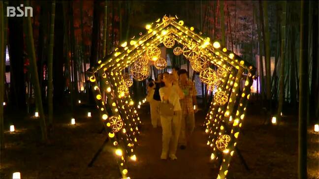 「すごくきれいで 幻想的で」廃棄竹をアート作品に『たがみバンブーブー』新潟・田上町|TBS NEWS DIG