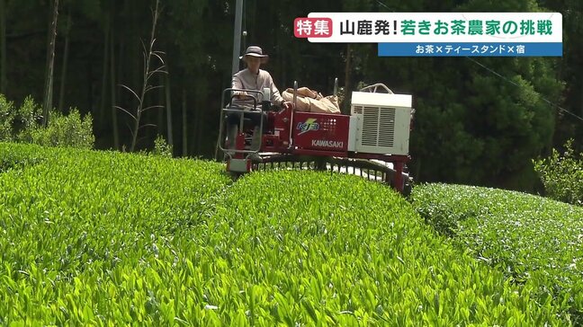 地域のお茶農家が8割減少　200戸が15年で37戸に…4代目が挑む"歴史あるお茶文化を未来へ"　熊本・山鹿市|TBS NEWS DIG