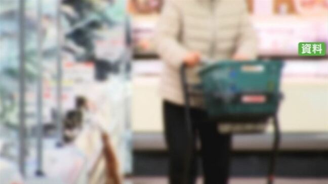 参議院選挙 物価高対策が大きな争点 給付か、減税・廃止か|TBS NEWS DIG