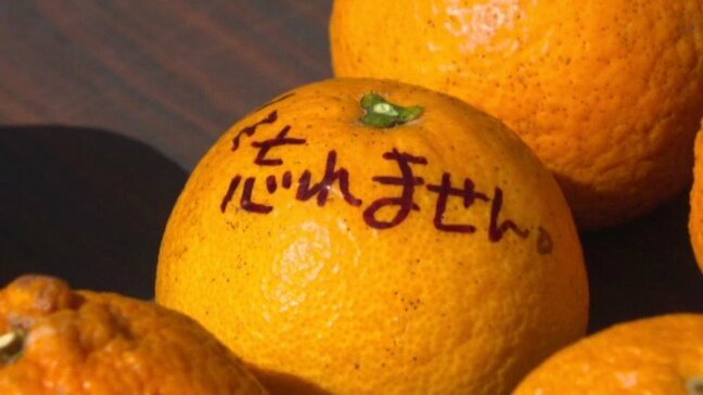 「原状回復を望んでいるが・・・ 悔しさを感じる」避難者は“関心の薄れ”を懸念 東日本大震災から15年 石手寺で法要 愛媛・松山市|TBS NEWS DIG