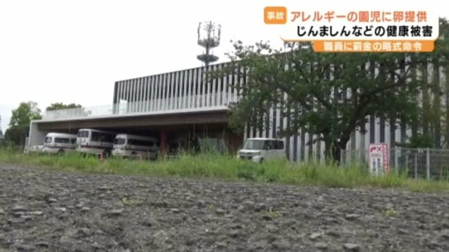 幼稚園で卵アレルギーのある園児に誤って卵を食べさせる 職員はアレルギーを把握も、忘れていた 園児はじんましんなど発症 愛媛県・松前町|TBS NEWS DIG