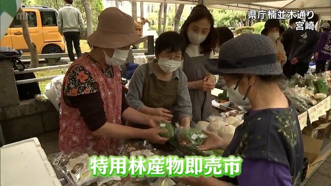 しいたけや山菜など山間部の特産品が市価より1割から2割安く　宮崎市の県庁楠並木通りで即売市|TBS NEWS DIG