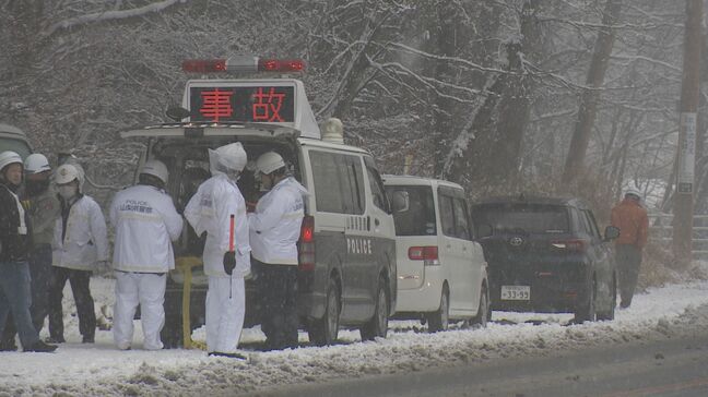 タイヤにチェーン装着中…軽乗用車が突っ込む 南箕輪村の男性がはねられ死亡 雪でスリップしたか 山梨県の国道|TBS NEWS DIG