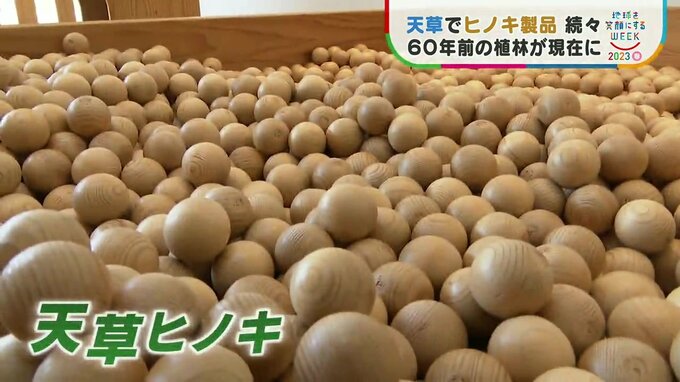 60年前からの贈り物「天草ヒノキ」が地方を活性化させる　未来へつながる木の香り　|　熊本のニュース｜RKK NEWS｜RKK熊本放送