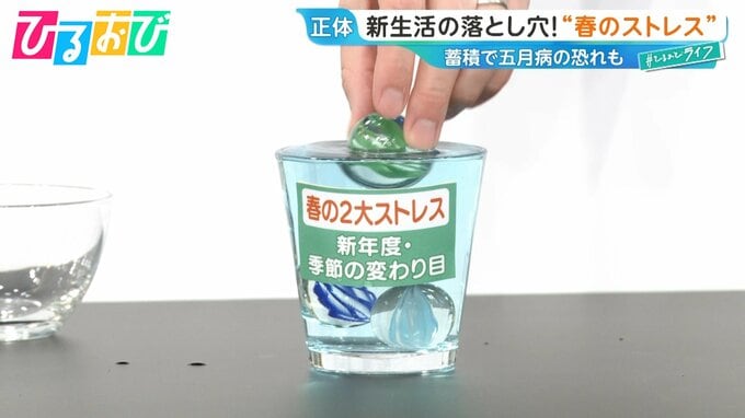 “ストレスの正体”は「デイリーハッスルズ」！？総合診療医が教える科学的なストレス解消法【ひるおび】|TBS NEWS DIG