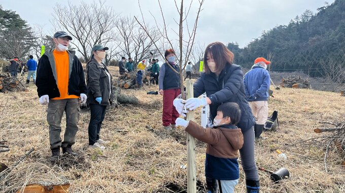 県民の森でボランティアが病気に強いサクラ品種「ジンダイアケボノ」を植樹　大分　|　大分のニュース｜OBS NEWS｜大分放送