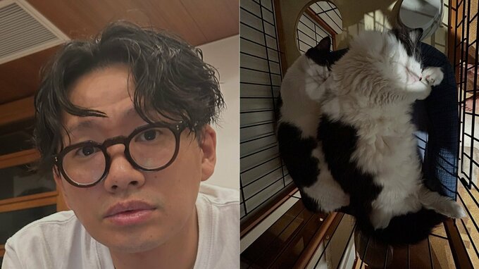 愛猫【 ミキ・亜生 】「寝相が同じ」ハチワレ兄弟の姿にフォロワー悶絶「可愛い」「シンクロ」「兆くんでっかい！」|TBS NEWS DIG