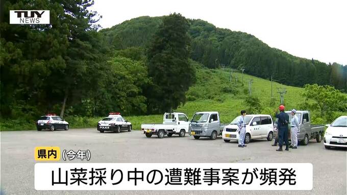 わらび採り中に遭難の男性はいまだ発見されず　けさも早くから捜索　行方不明から2日　県内では山菜採り中のクマ被害が3件発生で心配も（山形・鶴岡市）|TBS NEWS DIG